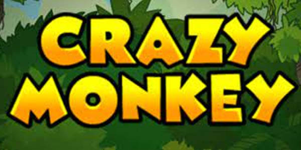 Ігрові автомати Crazy Monkey – шедевр розробника Igrosoft